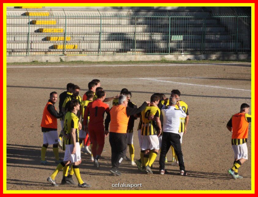 190310 Cephal_Torrenov 215_tn.jpg